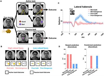 Lateral Habenula Responses During Eye Contact in a Reward Conditioning Task